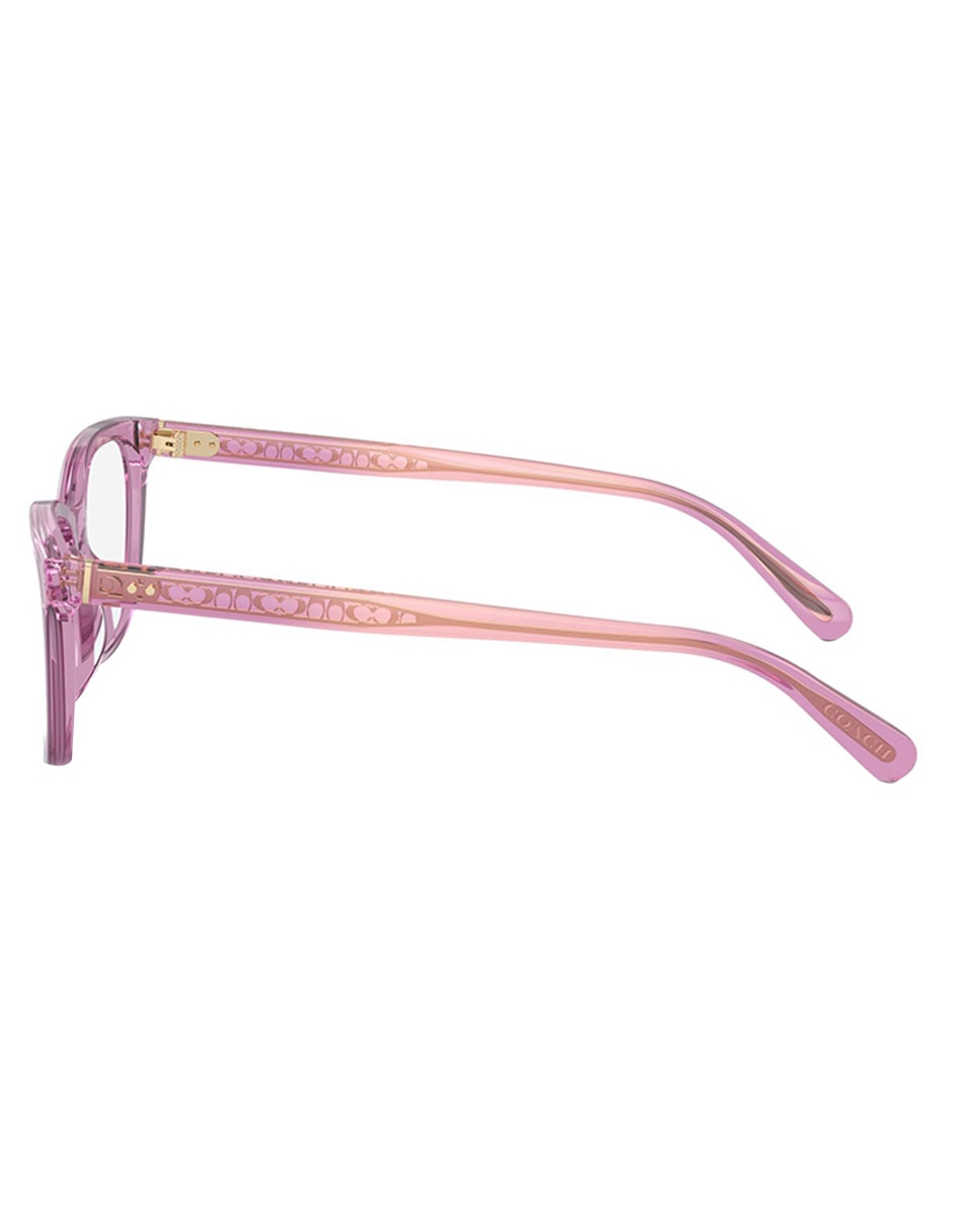 Armazón premium Douglas para mujer 3