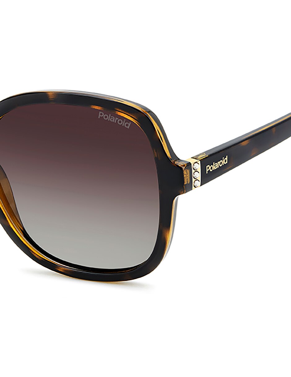 Lentes de sol 4177/S/X para mujer 5