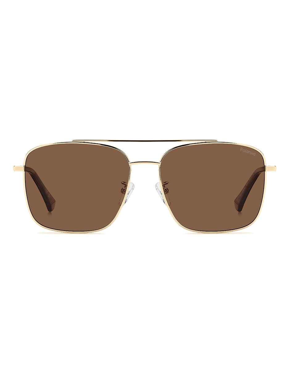Lentes de sol PLD 4192/G/S/X para hombre