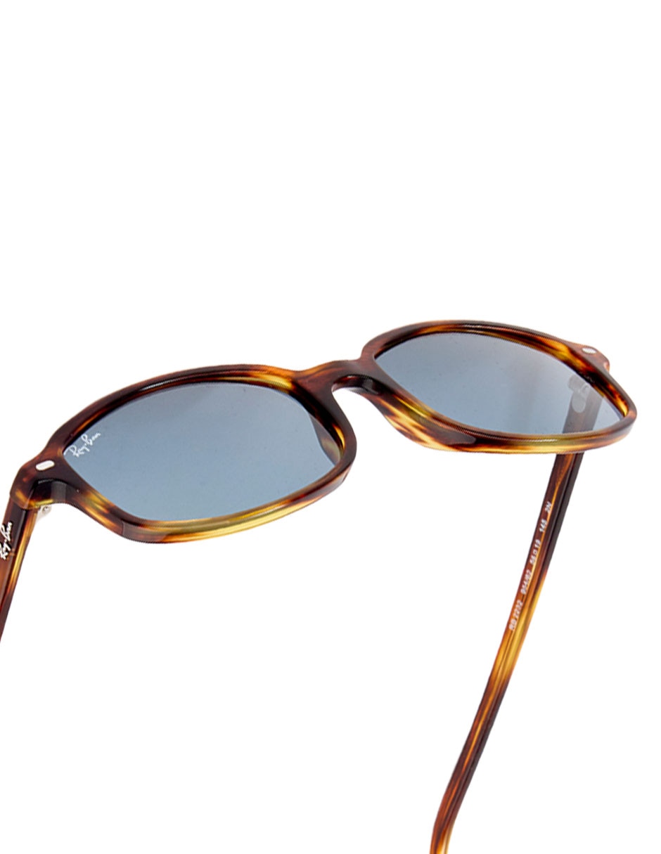 Lentes de sol Evolution 0RB2232954/6256 unisex 5