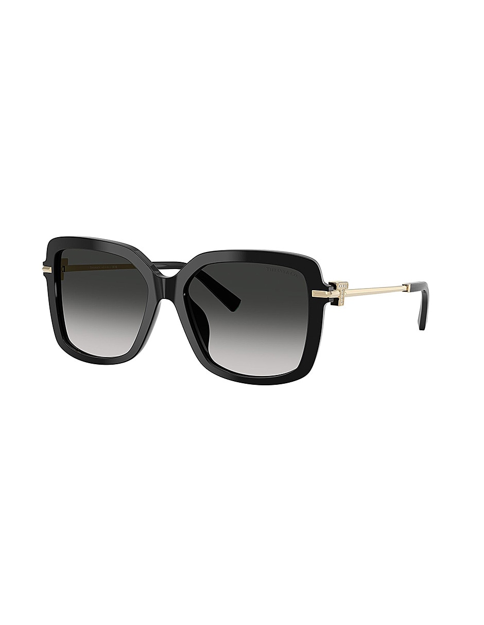 Lentes de sol Icons 0TF4252B80013C55 para mujer 2