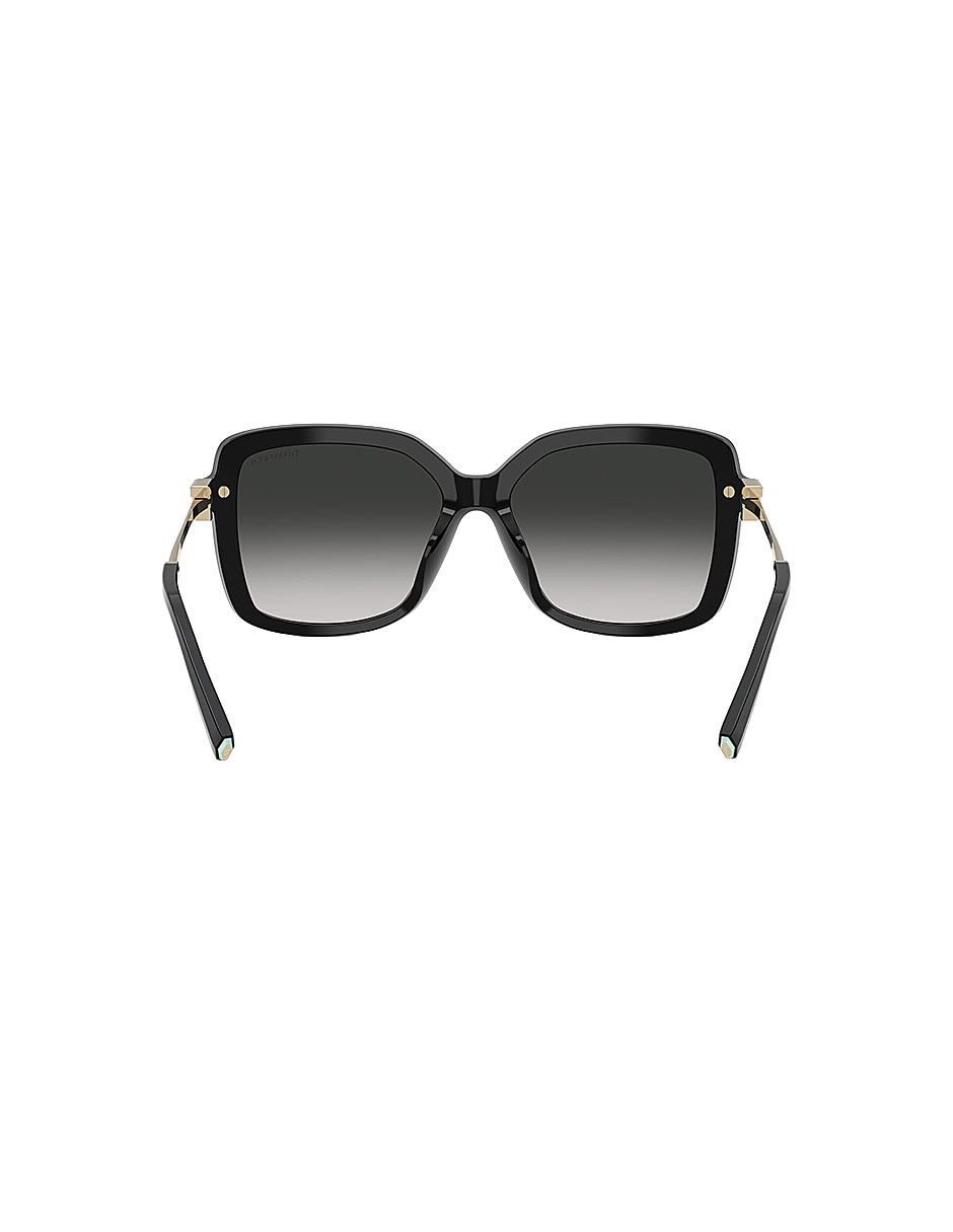 Lentes de sol Icons 0TF4252B80013C55 para mujer 4