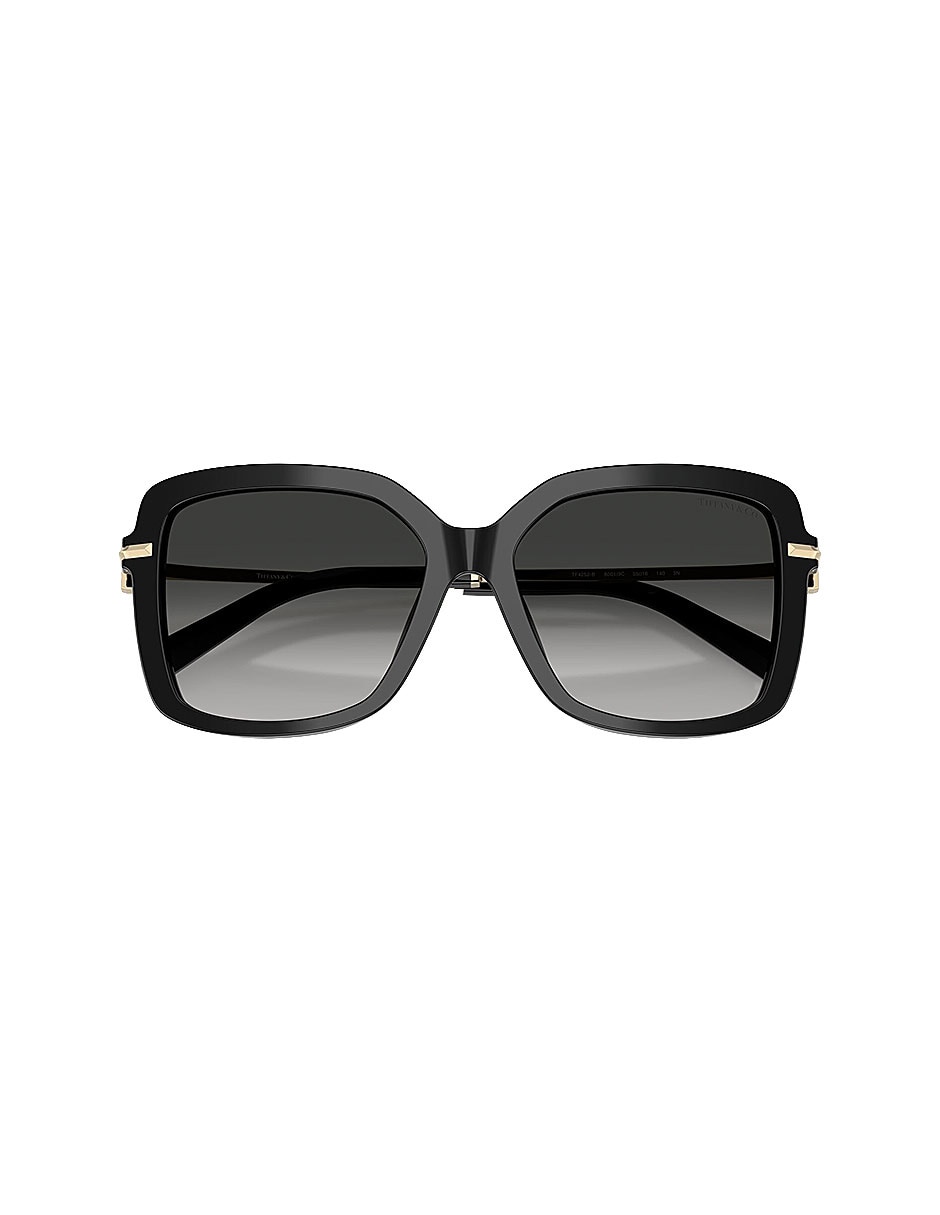 Lentes de sol Icons 0TF4252B80013C55 para mujer 5