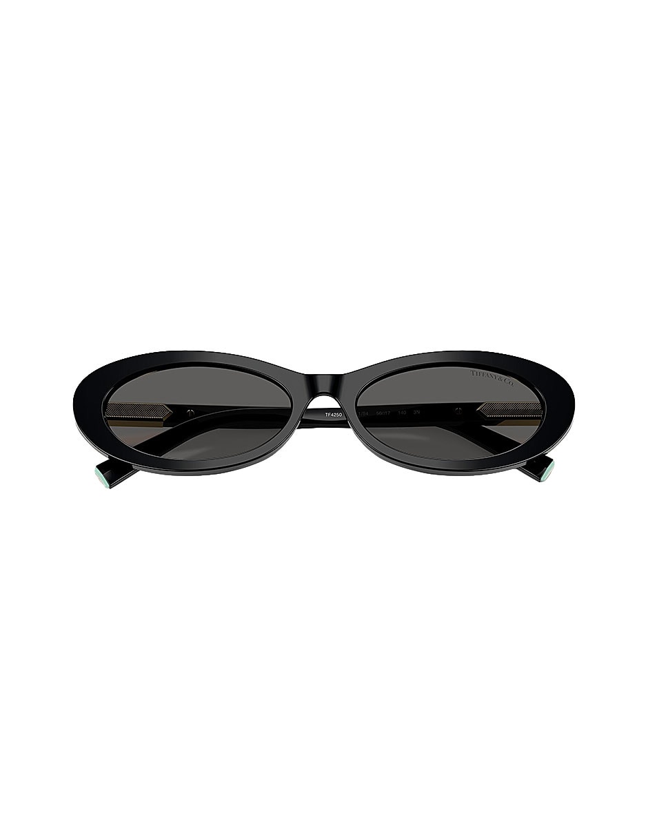 Lentes de sol modern glamour 0tf42508001s456 para mujer 5