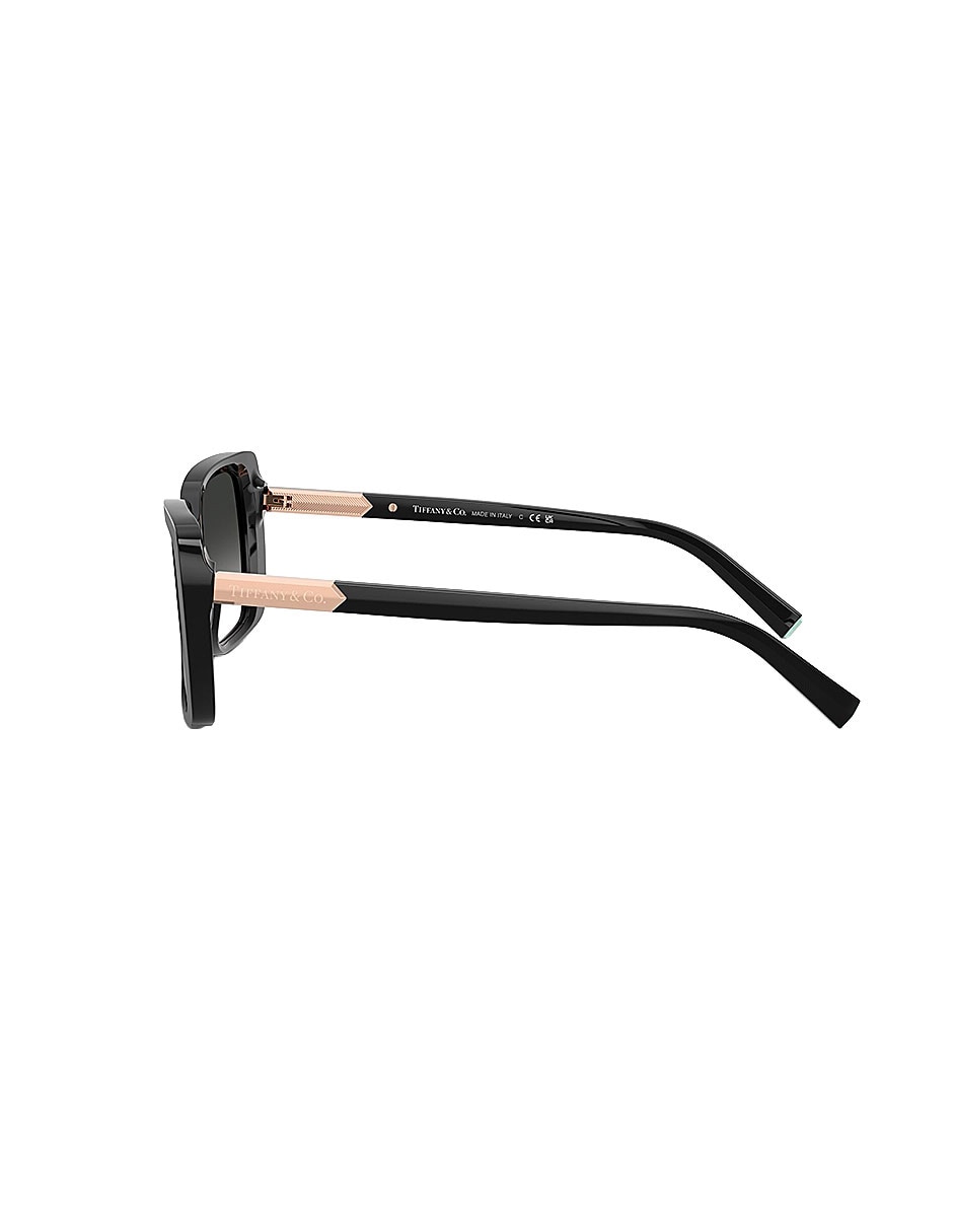 Lentes de sol Modern Glamour 0TF424980013C55 para mujer 3