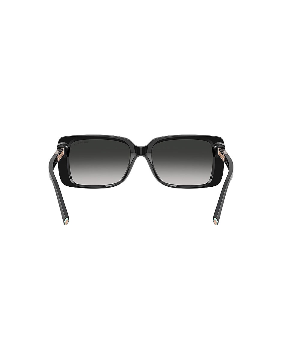 Lentes de sol Modern Glamour 0TF424980013C55 para mujer 4