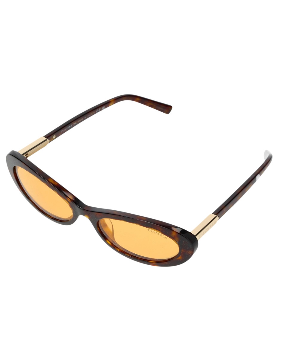 Lentes de sol Modern Glamour TF 4250 para mujer 2