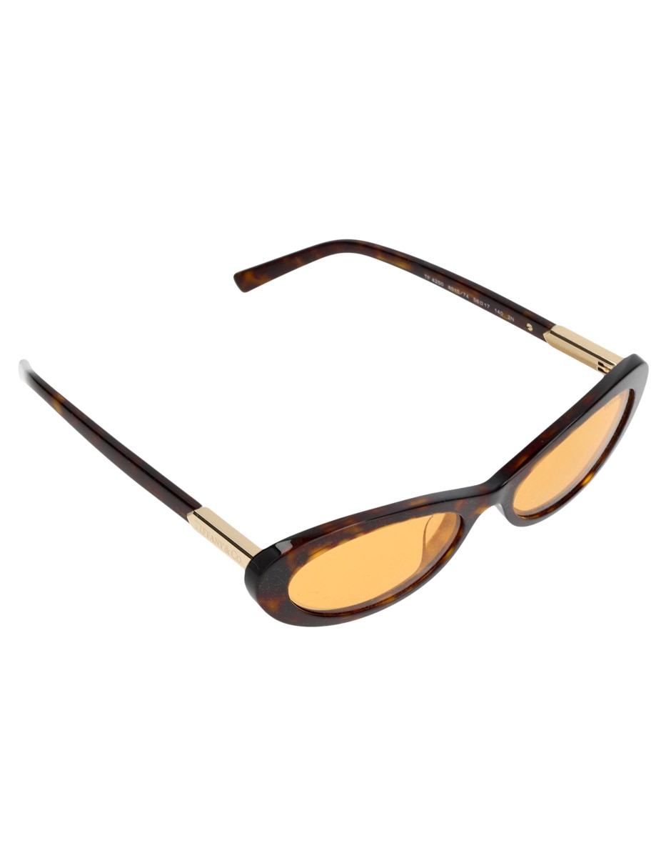 Lentes de sol Modern Glamour TF 4250 para mujer 3