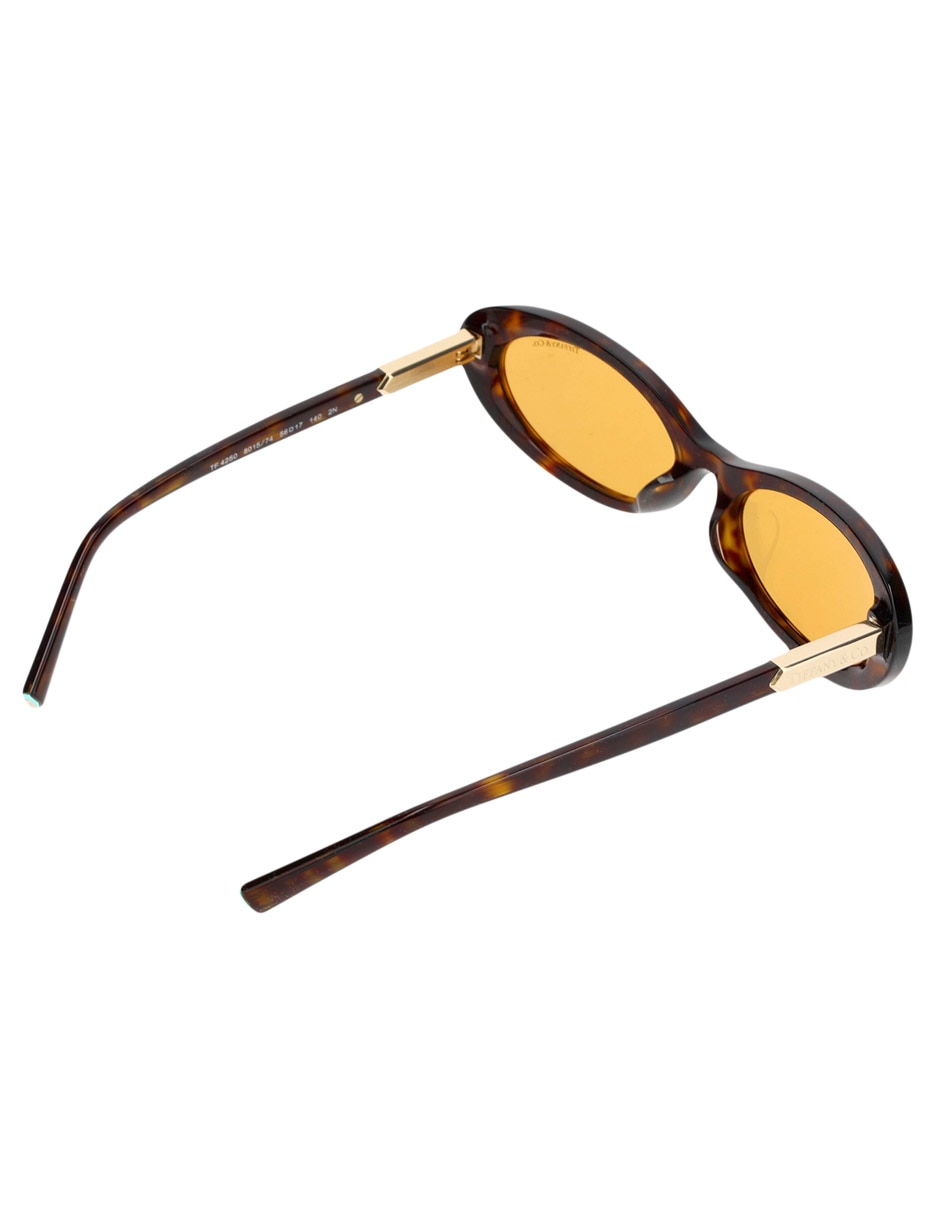Lentes de sol Modern Glamour TF 4250 para mujer 4