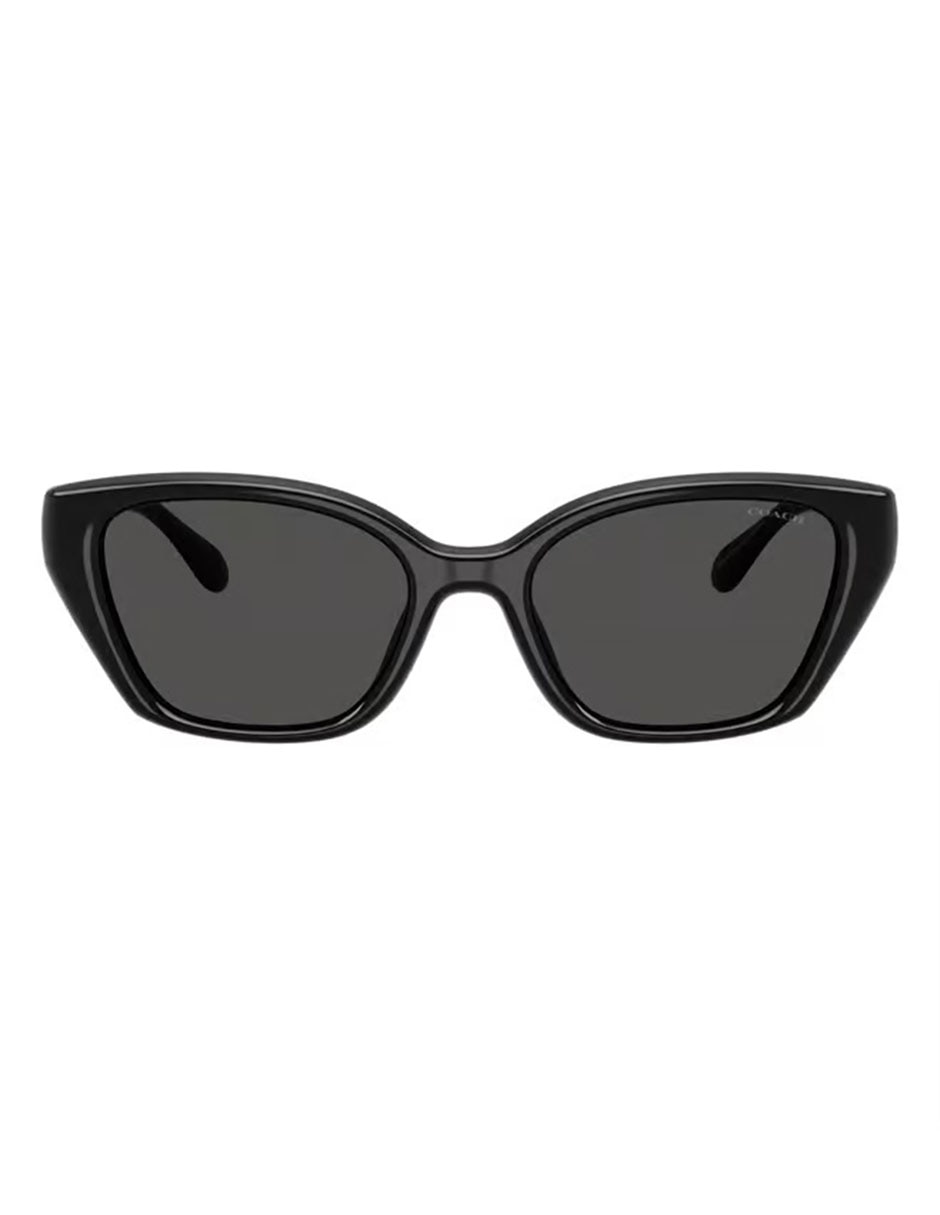 Lentes De Sol Urban Nomad 0Hc8434U50028753 Para Mujer