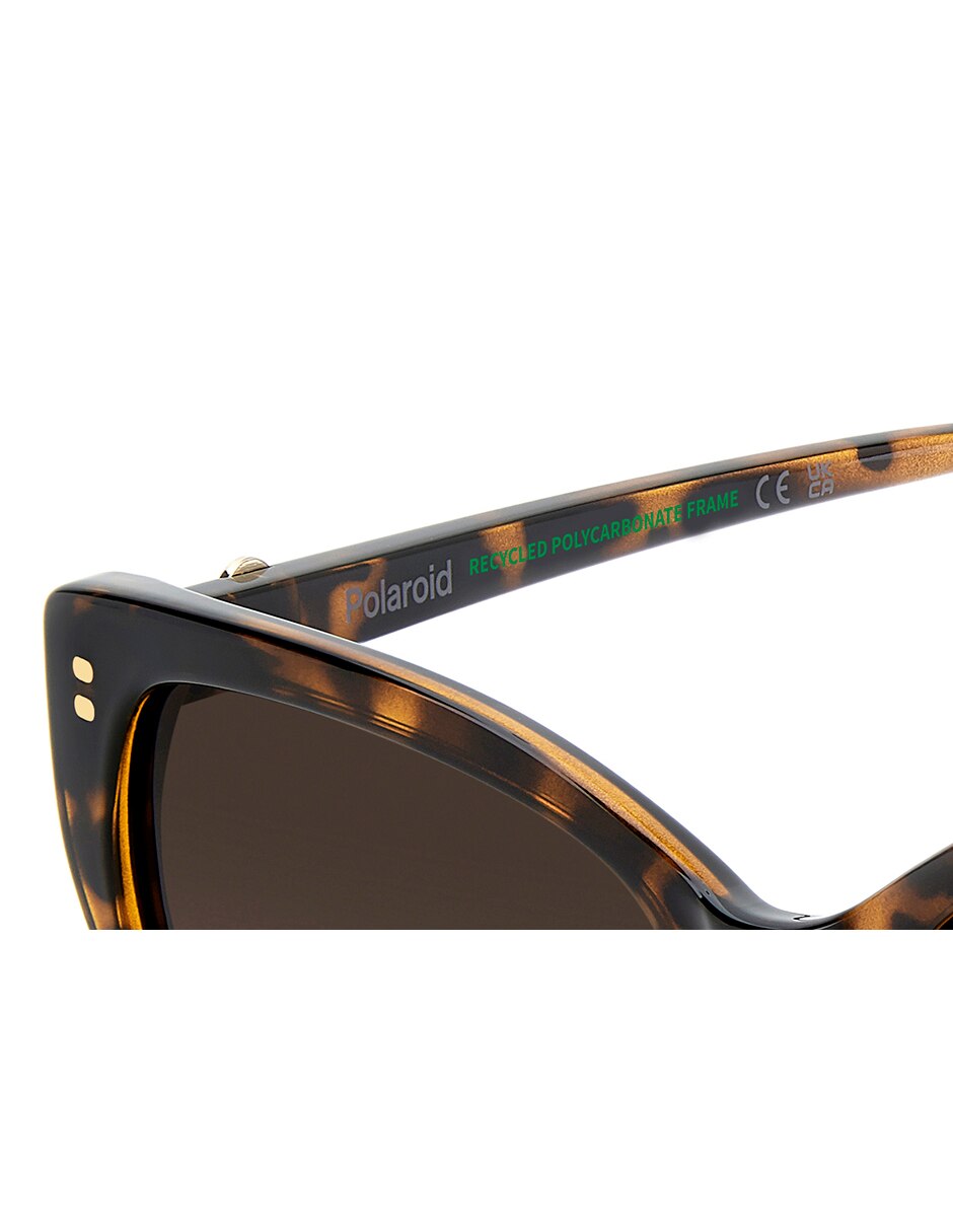 Lentes de sol PLD 4198/S/X para mujer 6