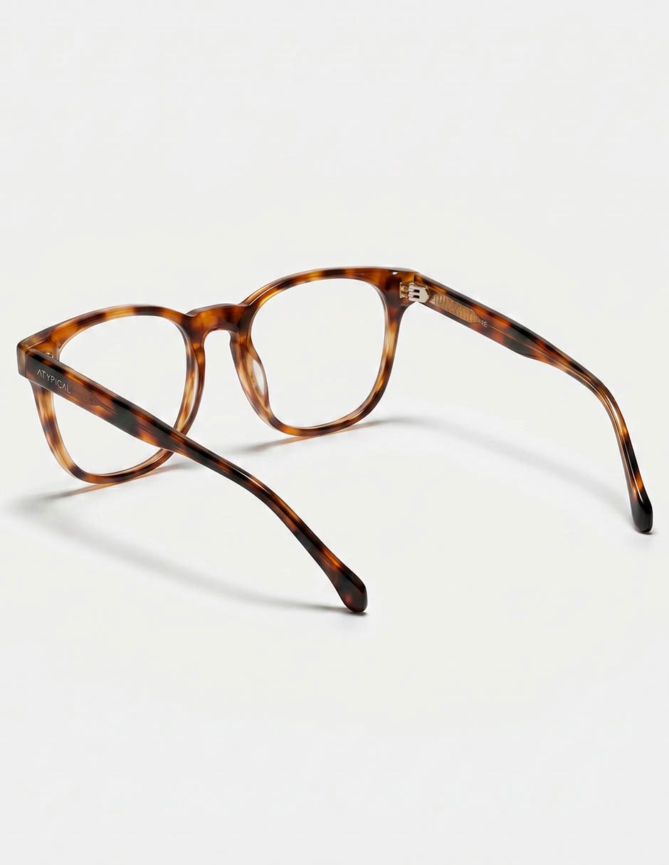 Armazón unisex 3