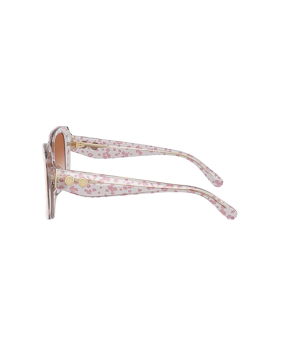 Lentes solares modern heritage 0hc8424u59531354 para mujer