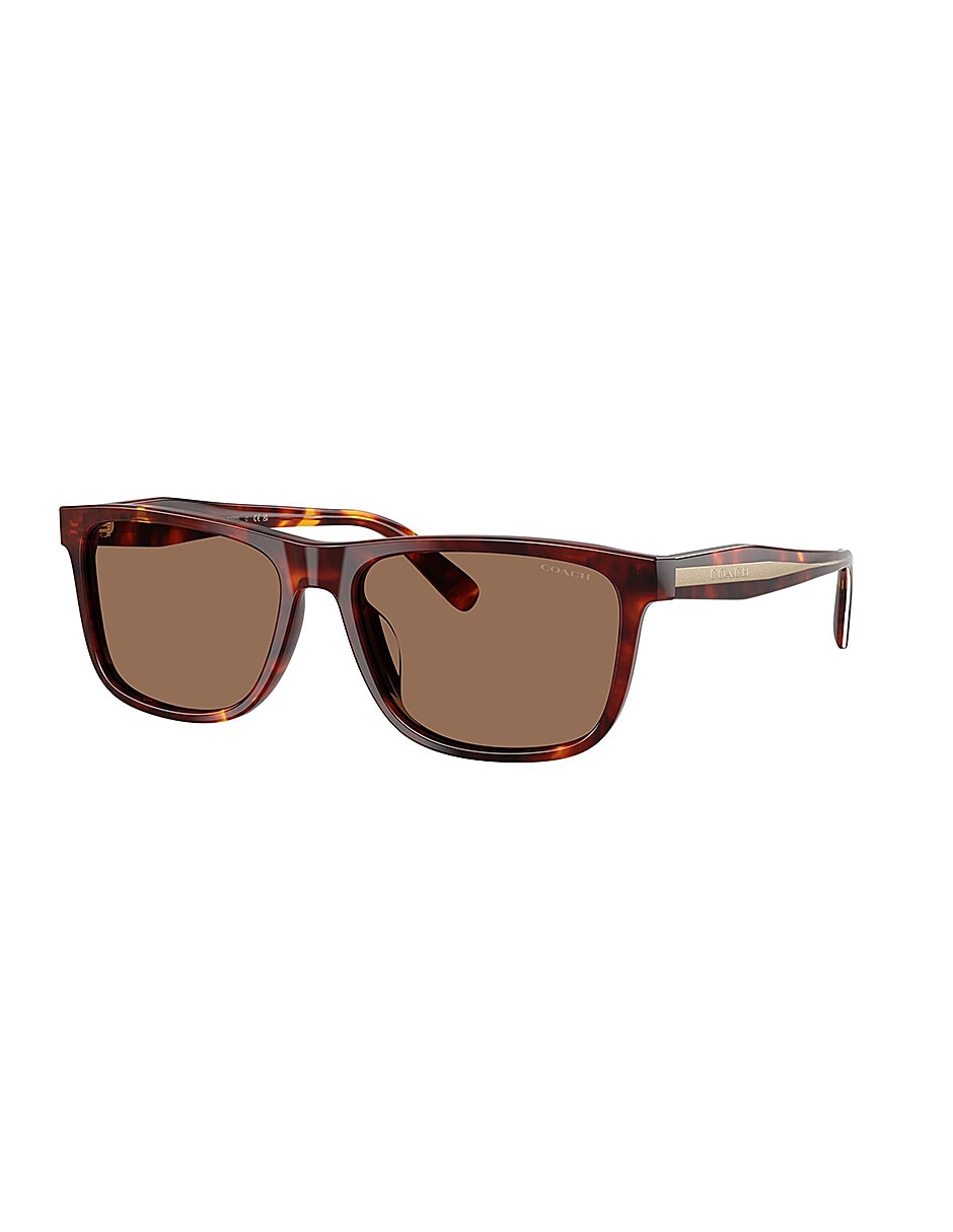 Lentes solares premium fashion 0hc8454u59381359 para hombre 2