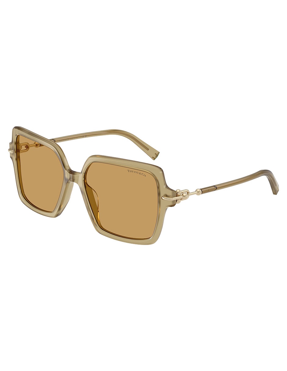 Lentes solares 0TF4260U84617357 para mujer