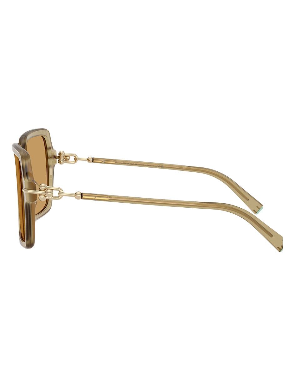 Lentes solares 0TF4260U84617357 para mujer 3