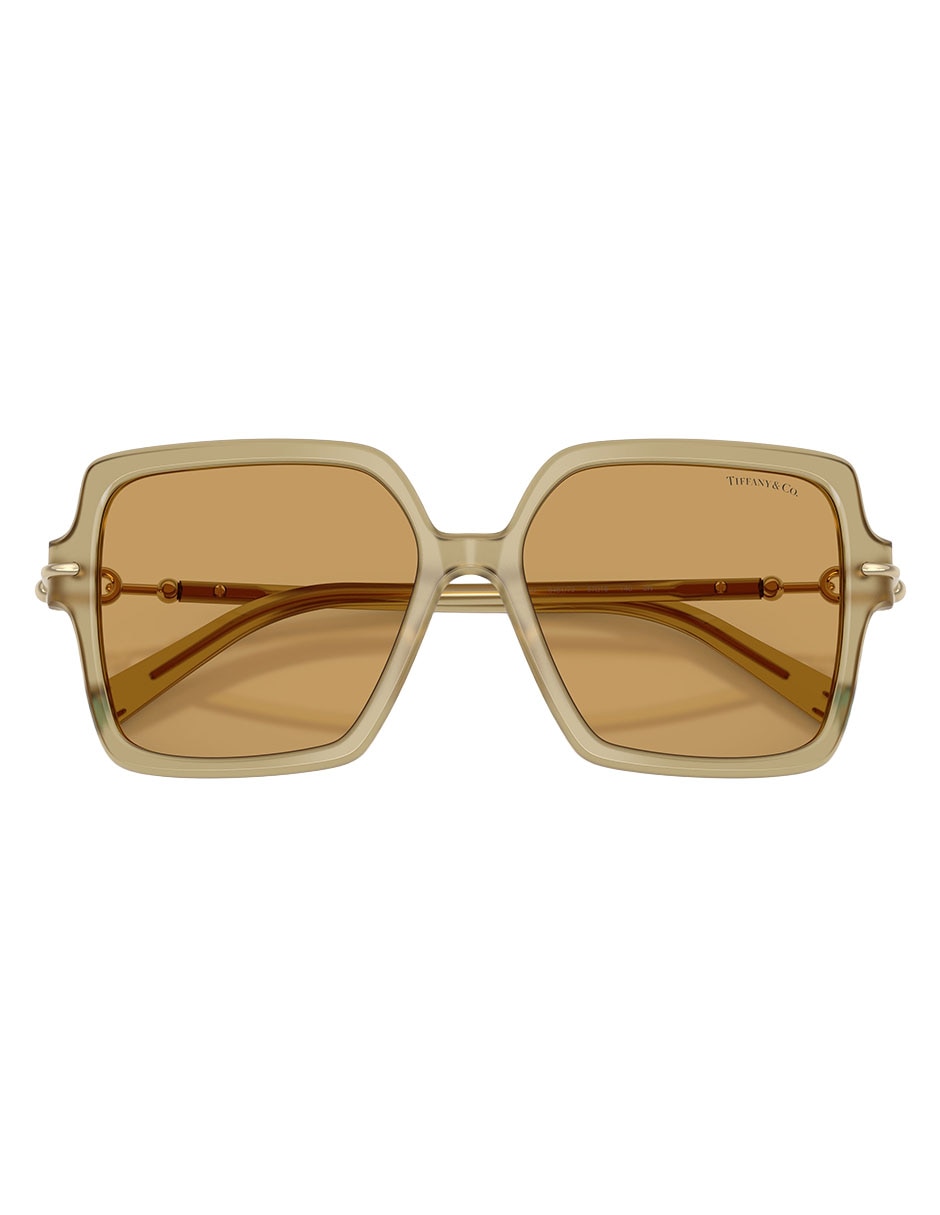 Lentes solares 0TF4260U84617357 para mujer 5