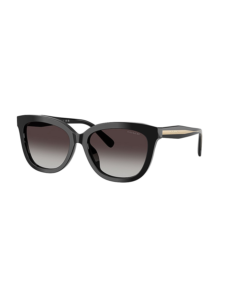 Lentes de sol Premium Fashion 0Hc8453U50028G56 para mujer 2