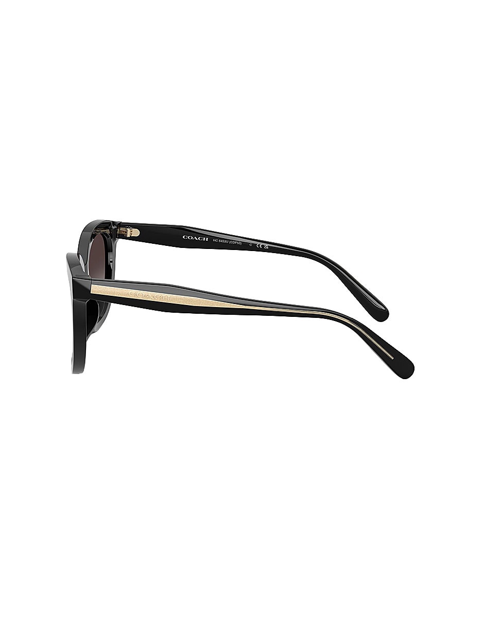 Lentes de sol Premium Fashion 0Hc8453U50028G56 para mujer