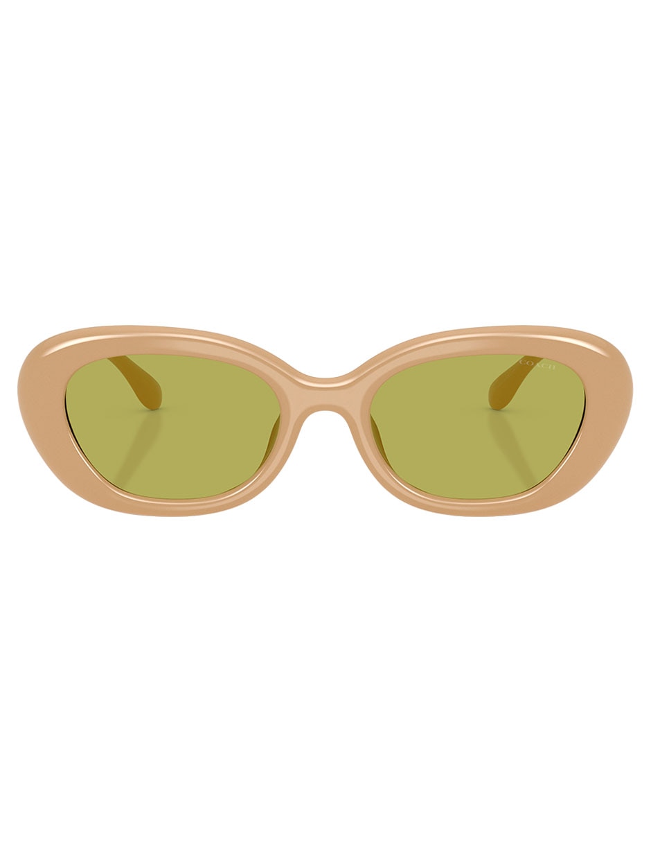 Lentes solares Premium Fashion 0HC8448U5929 para mujer 1