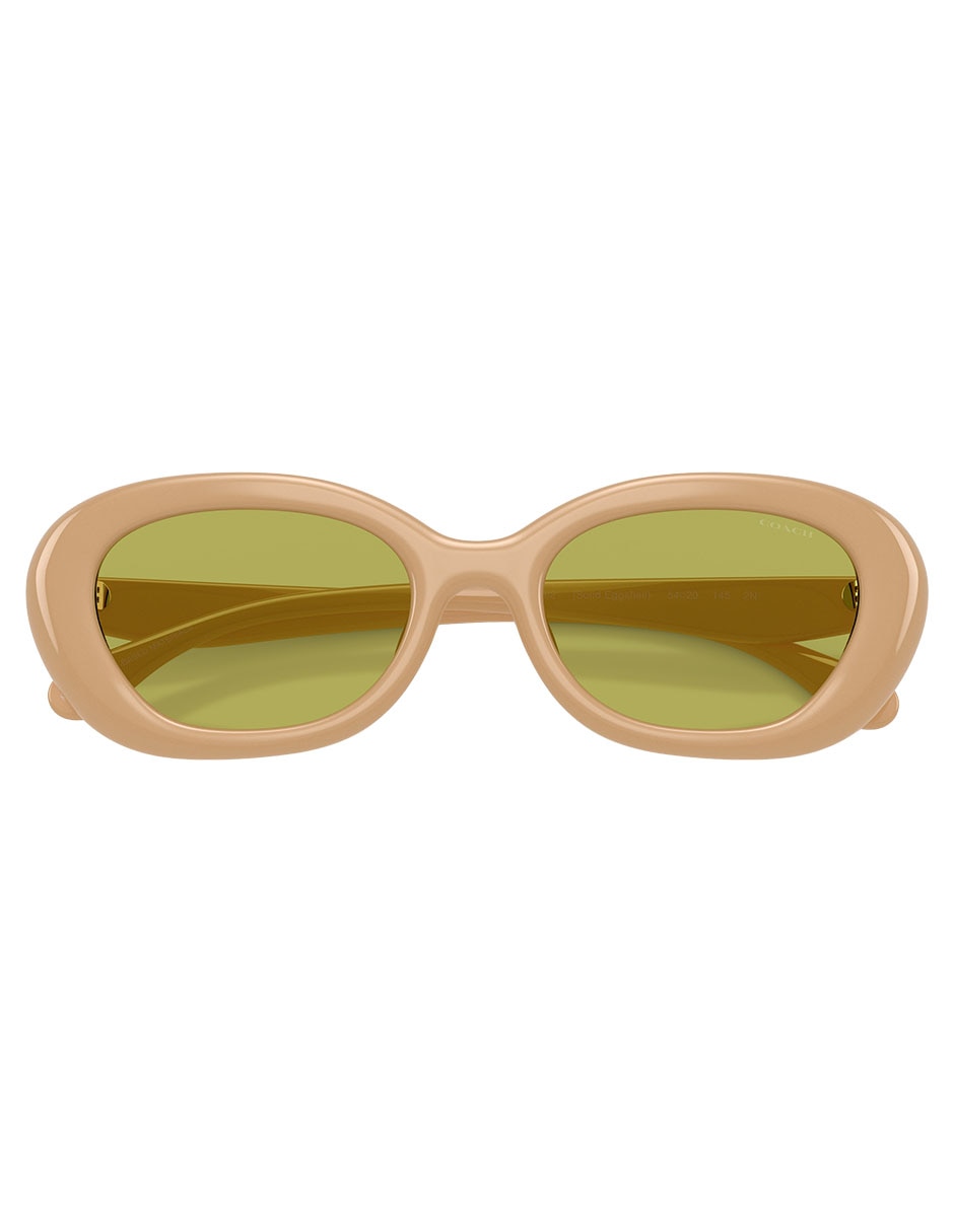 Lentes solares Premium Fashion 0HC8448U5929 para mujer 3