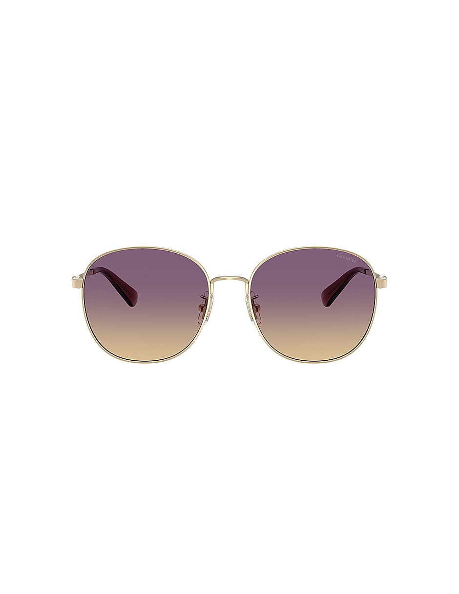 Lentes de sol Premium Fashion 0Hc718990057055 para mujer 1