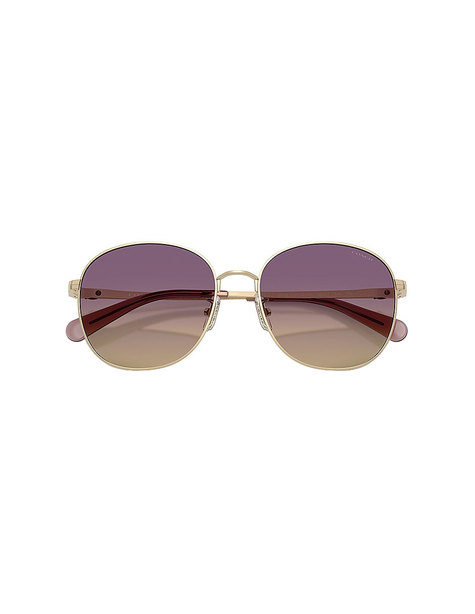 Lentes de sol Premium Fashion 0Hc718990057055 para mujer 4