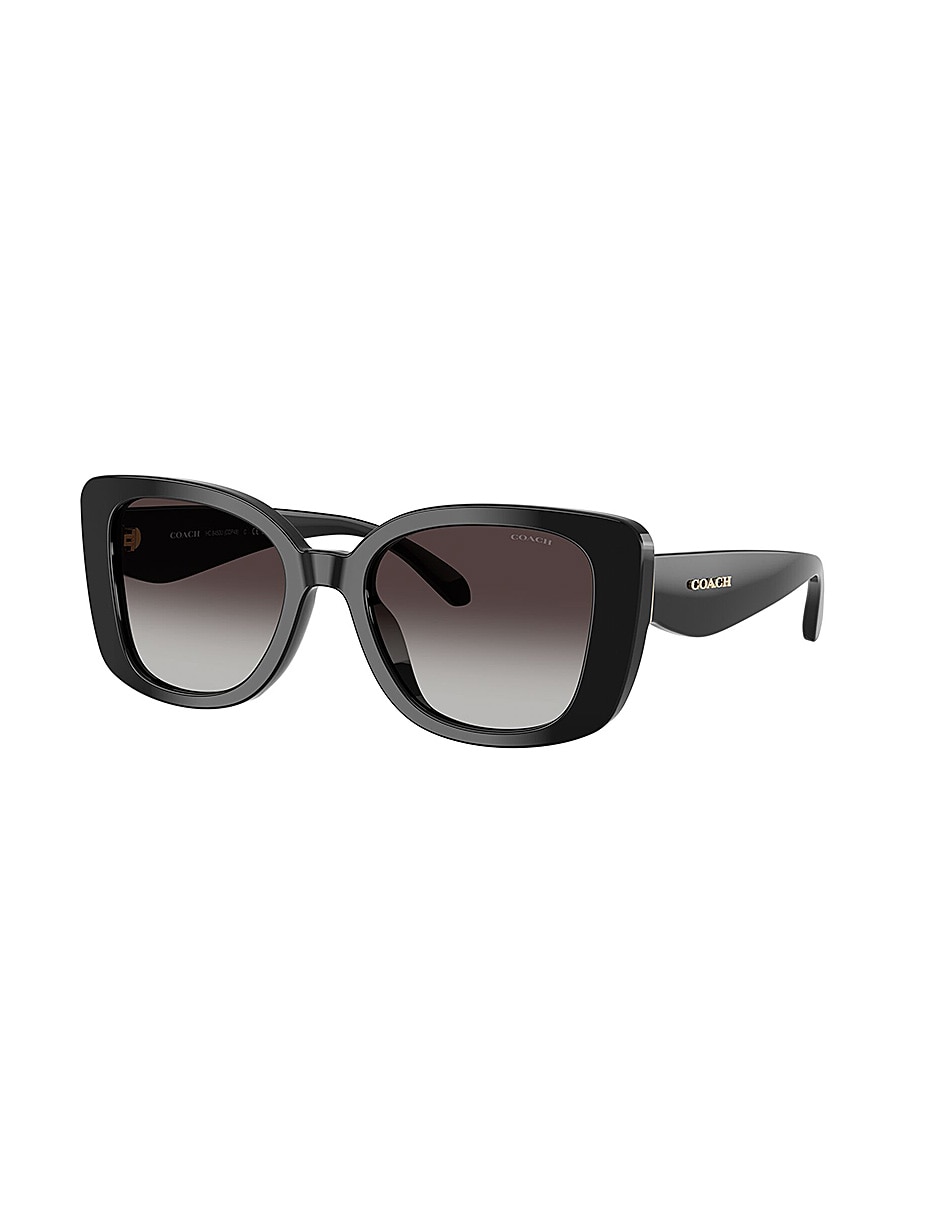 Lentes de sol Premium Fashion 0Hc8450U50028G52 para mujer 2