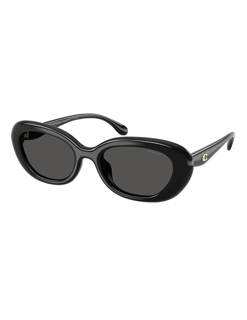 Lentes solares Premium Fashion 0HC8448U50028754 para mujer 1
