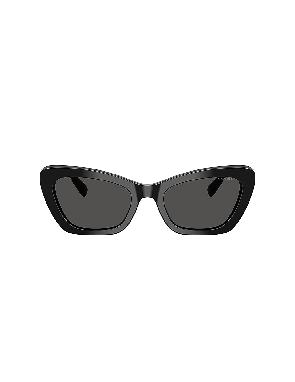 Lentes de sol Premium Fashion 0Hc8452U50028754 para mujer 1