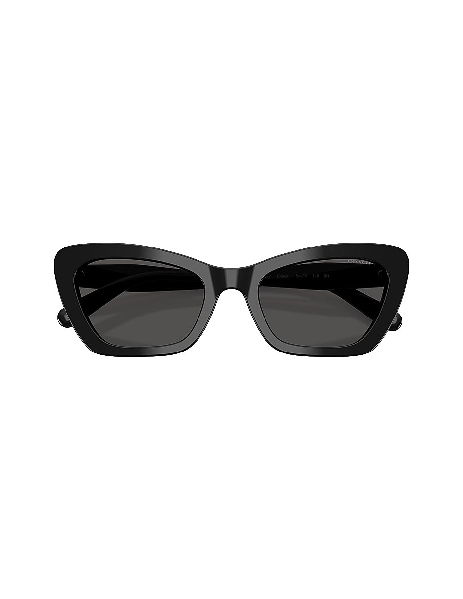 Lentes de sol Premium Fashion 0Hc8452U50028754 para mujer 4