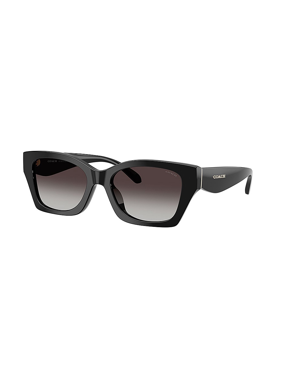 Lentes de sol Premium Fashion 0Hc8451U50028G54 para mujer 2