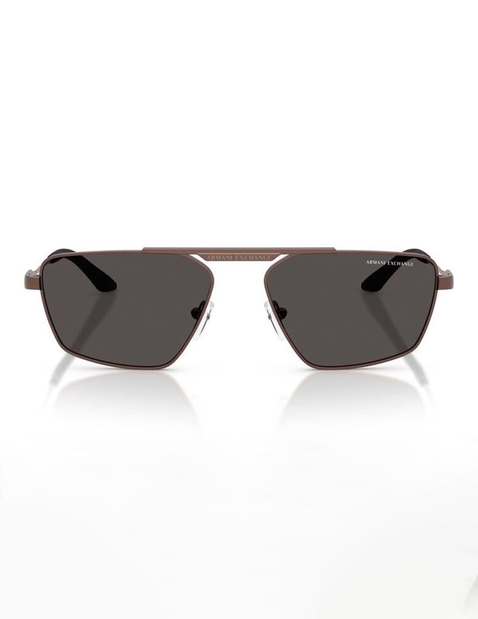 Lentes solares Armani Exchange 0AX2059S61068756 unisex 1