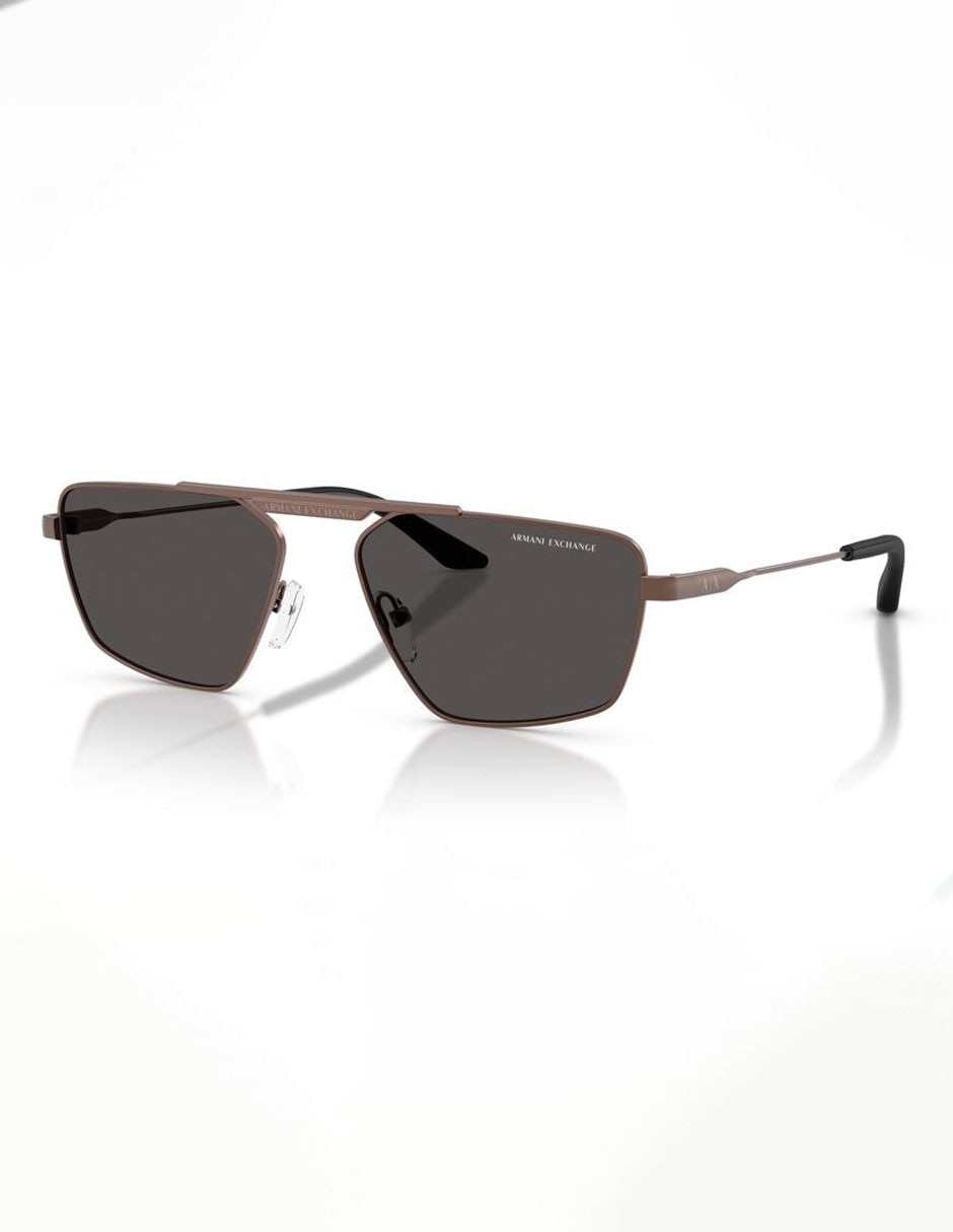 Lentes solares Armani Exchange 0AX2059S61068756 unisex