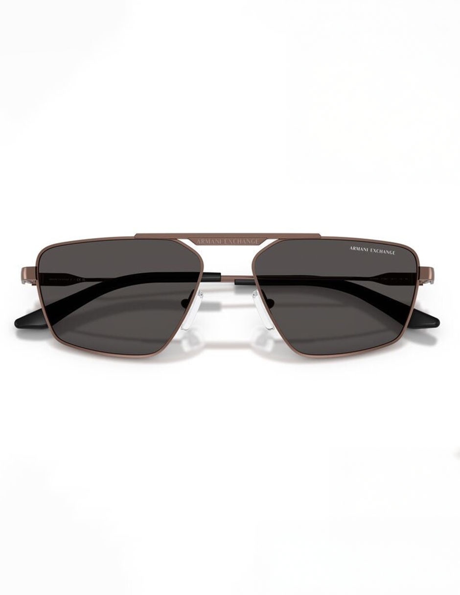 Lentes solares Armani Exchange 0AX2059S61068756 unisex 5
