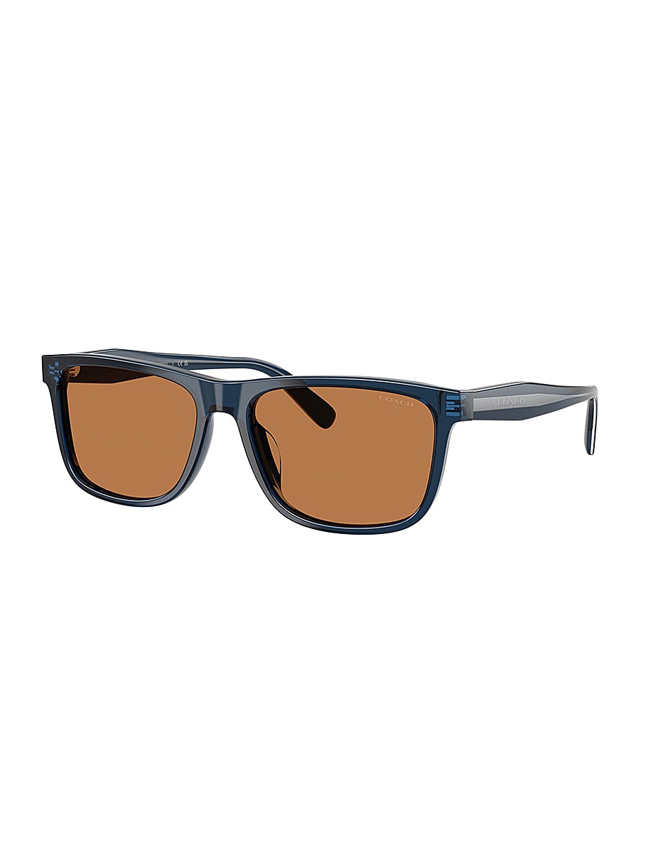 Lentes de sol Premium Fashion 0Hc8454U57577359 para hombre 2
