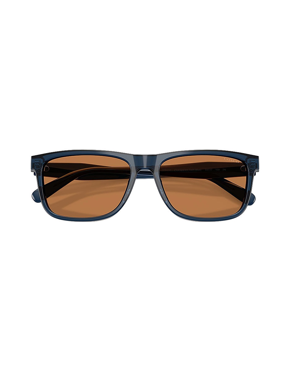 Lentes de sol Premium Fashion 0Hc8454U57577359 para hombre 4