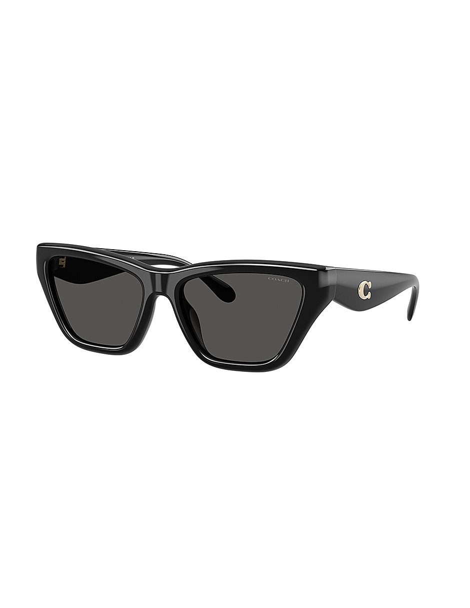 Lentes de sol Premium Fashion 0Hc8449U50028756 para mujer 2