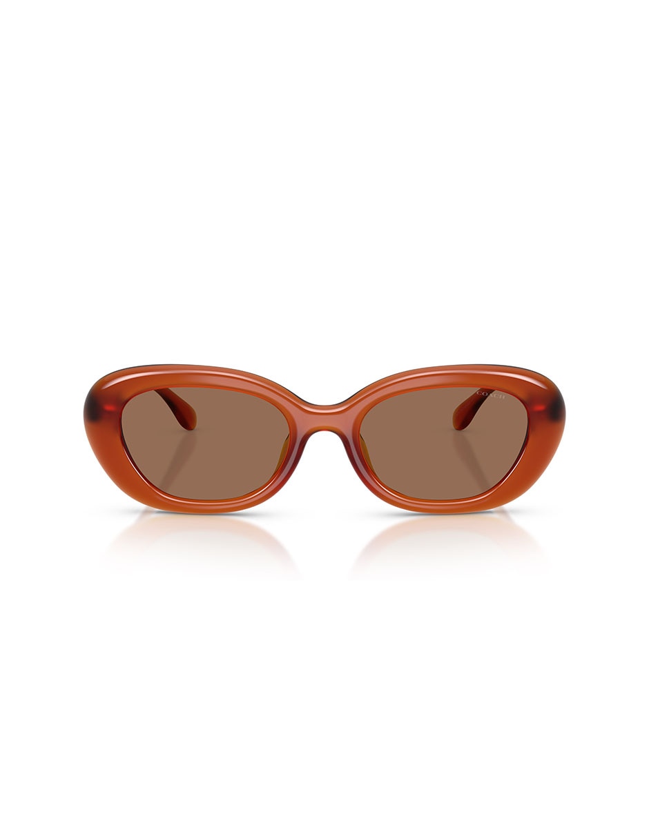 Lentes solares Premium Fashion 0HC8448U59307354 para mujer