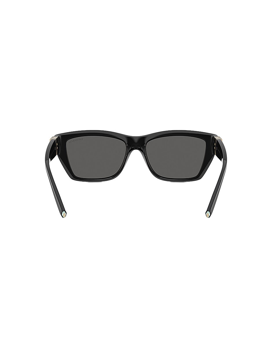 Lentes de sol Luxury 0Tf4255U8001S456 unisex 3