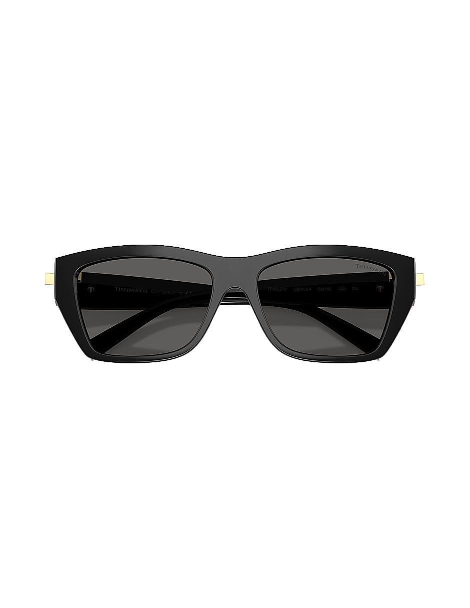 Lentes de sol Luxury 0Tf4255U8001S456 unisex 4