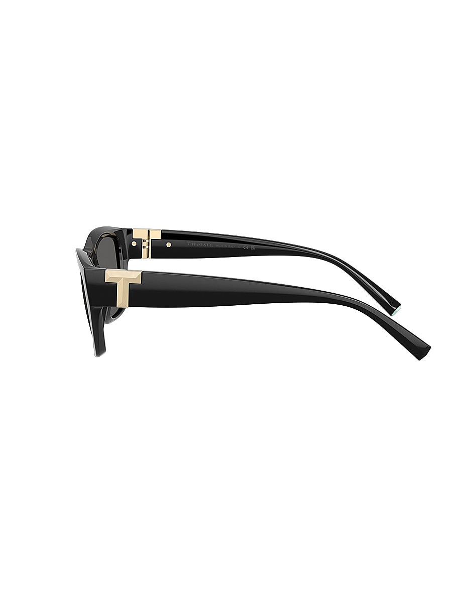 Lentes de sol Luxury 0Tf4255U8001S456 unisex