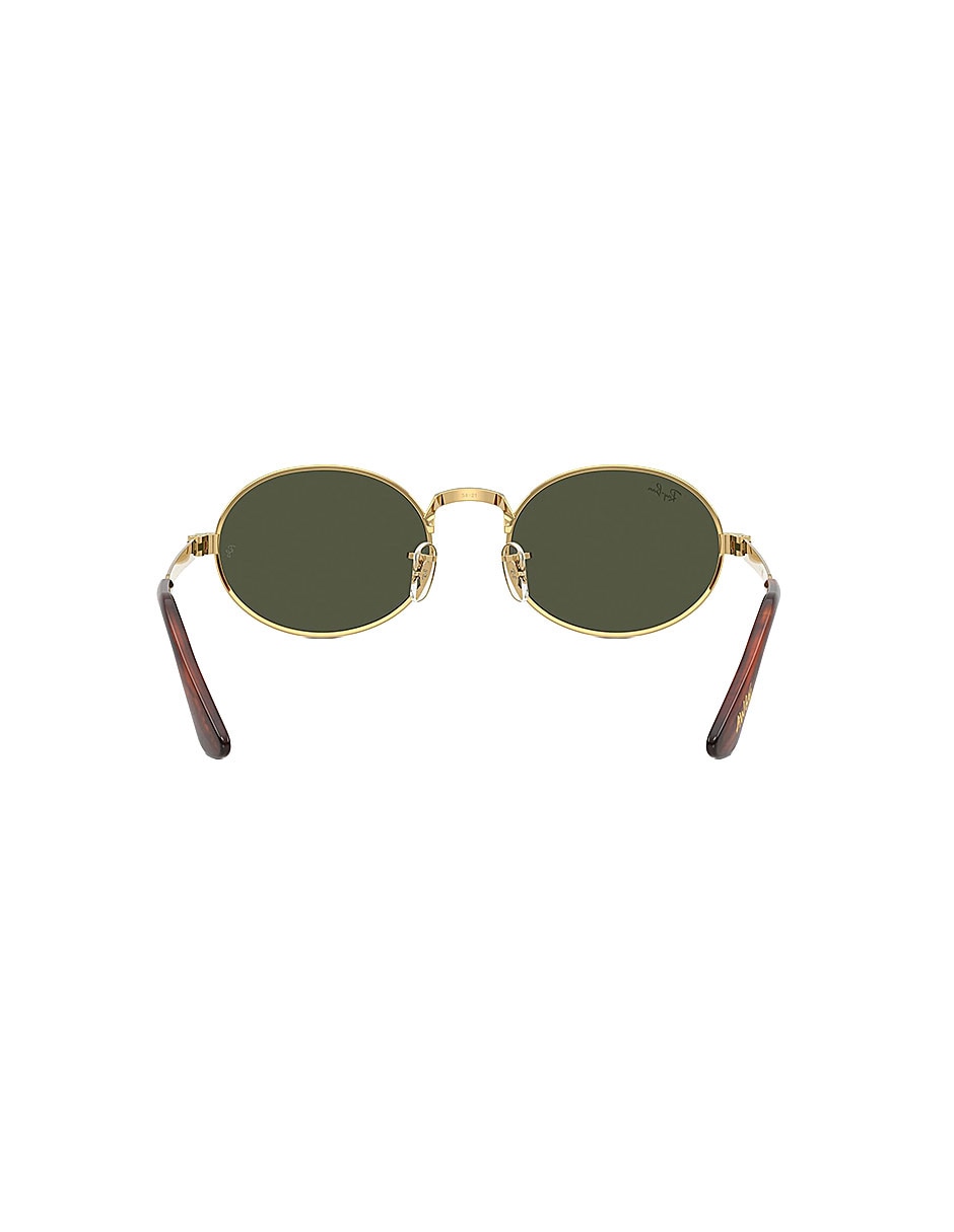Lentes de sol Lifestyle 0Rb3931001/3154 unisex 3