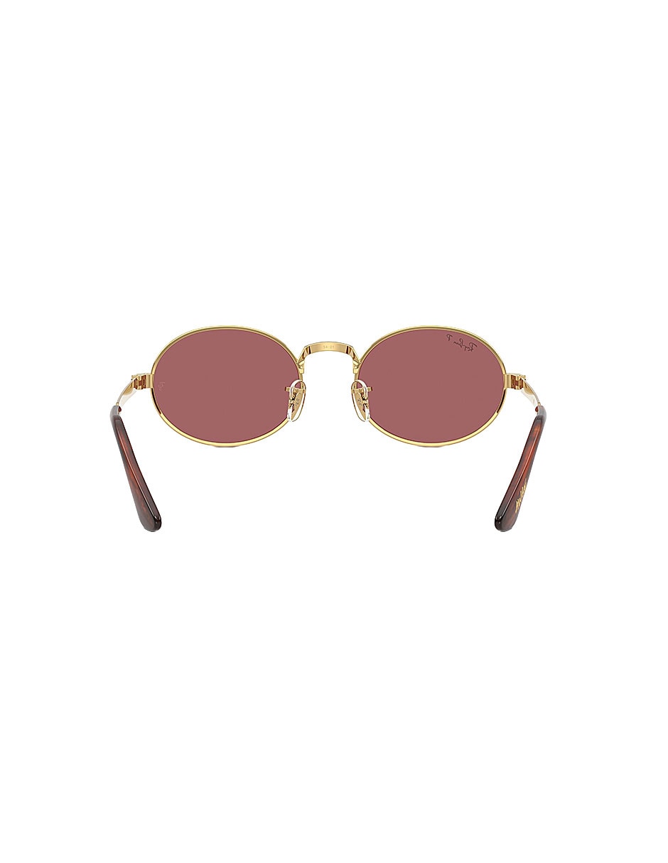 Lentes de sol Lifestyle 0Rb3931001/Af54 unisex 3