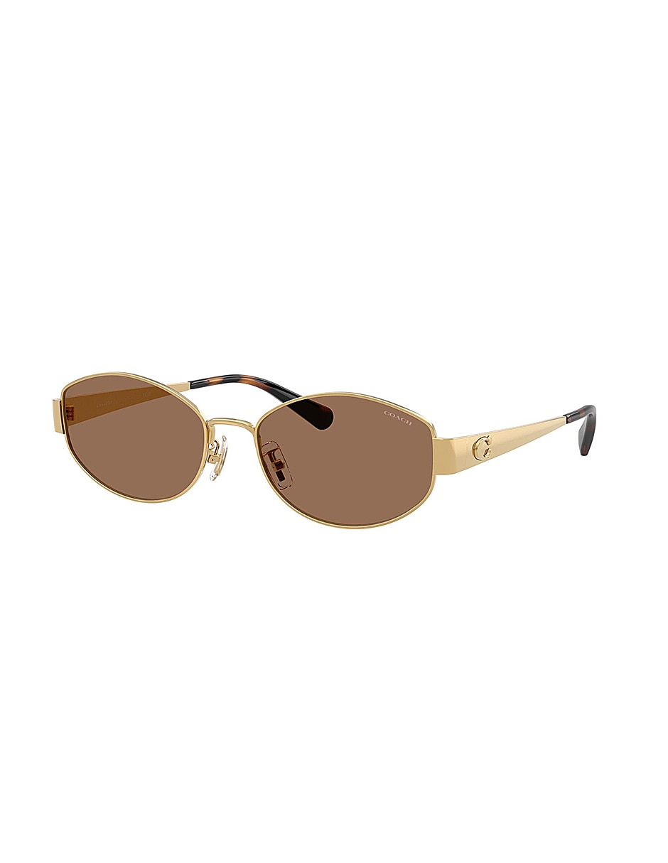Lentes de sol Premium Fashion 0Hc7192D94411357 para mujer 2