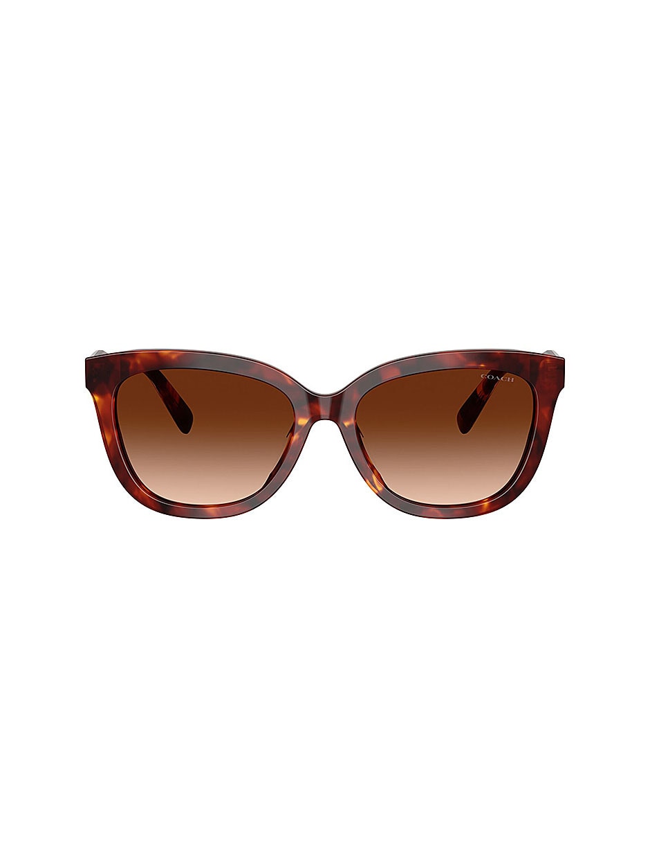 Lentes de sol Premium Fashion 0Hc8453U59387456 para mujer 1