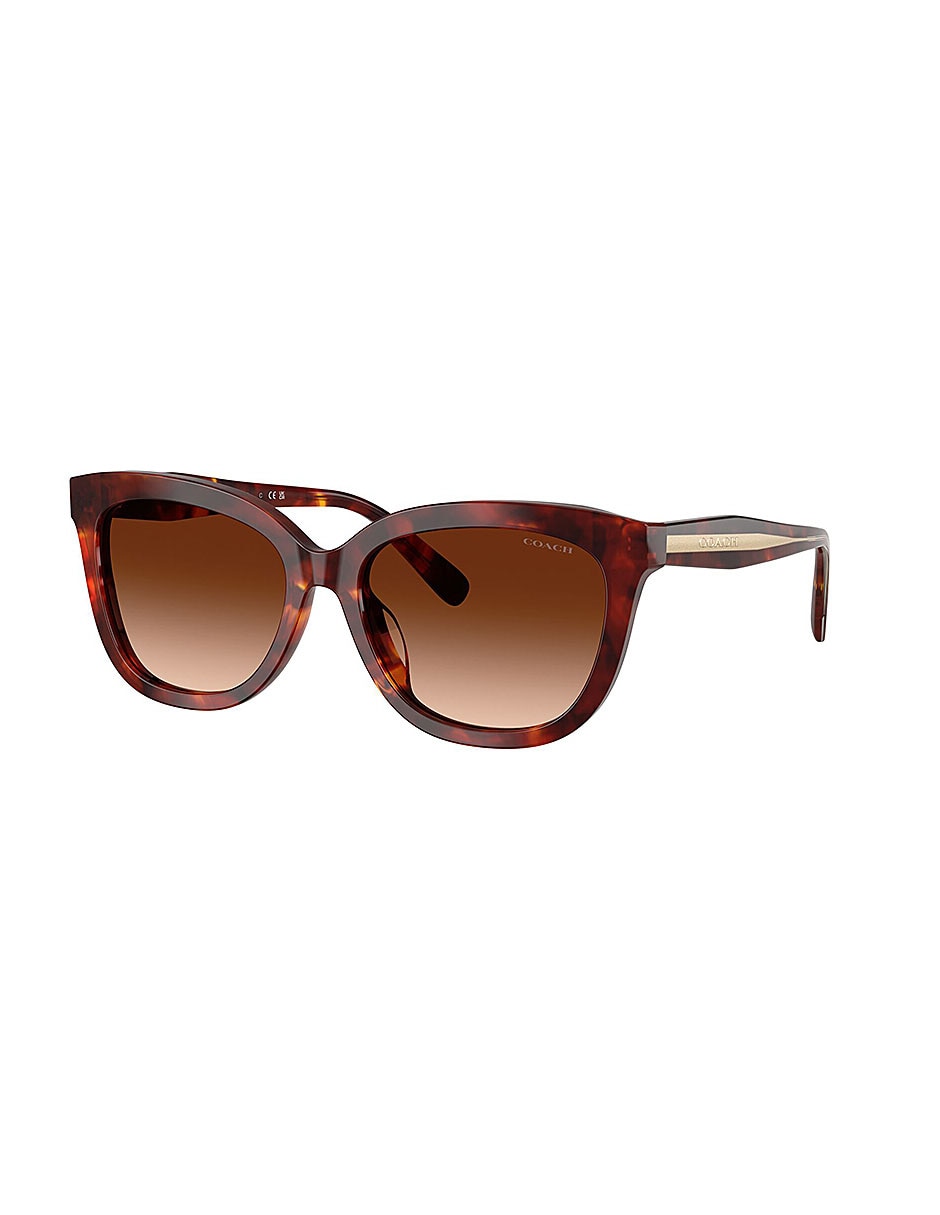 Lentes de sol Premium Fashion 0Hc8453U59387456 para mujer 2