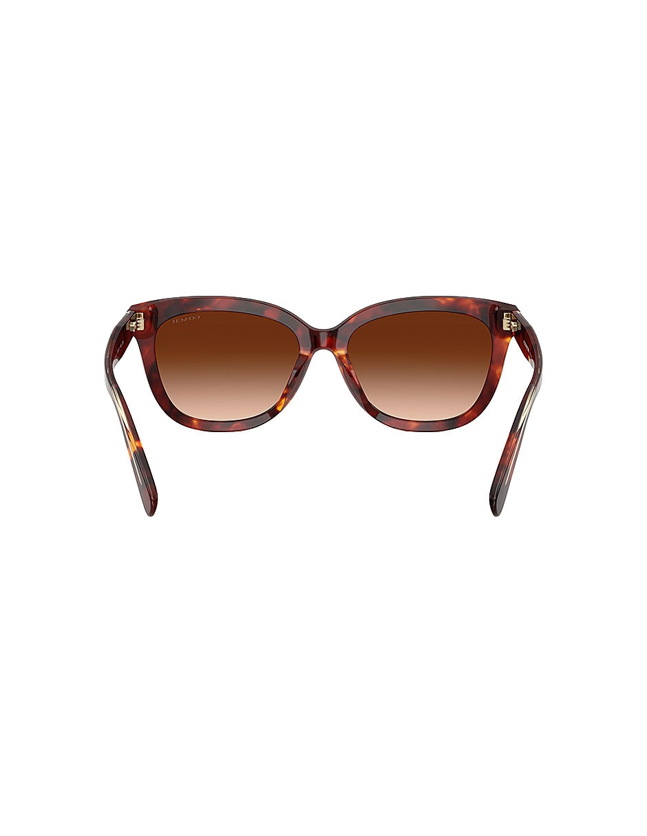 Lentes de sol Premium Fashion 0Hc8453U59387456 para mujer 3