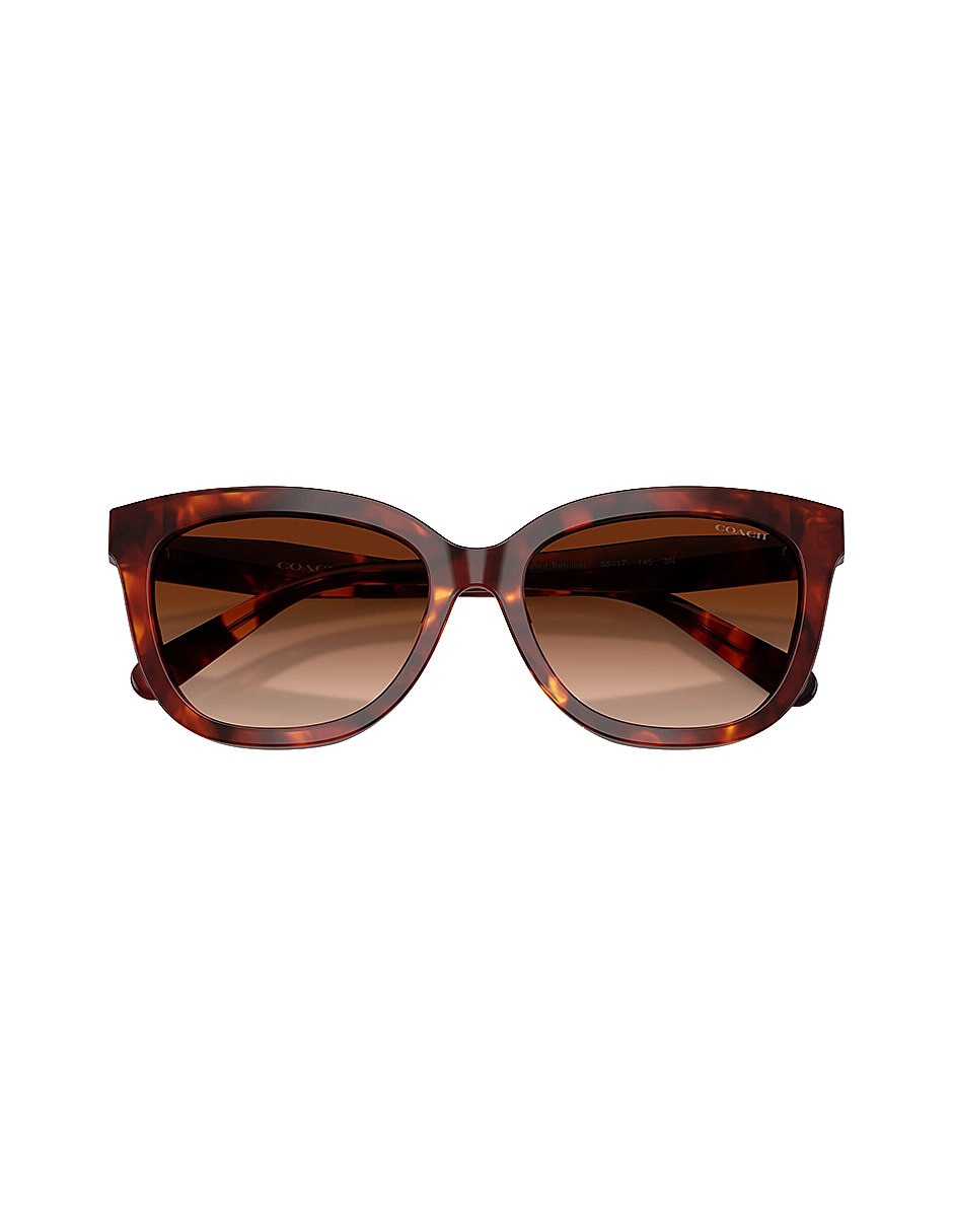 Lentes de sol Premium Fashion 0Hc8453U59387456 para mujer 4