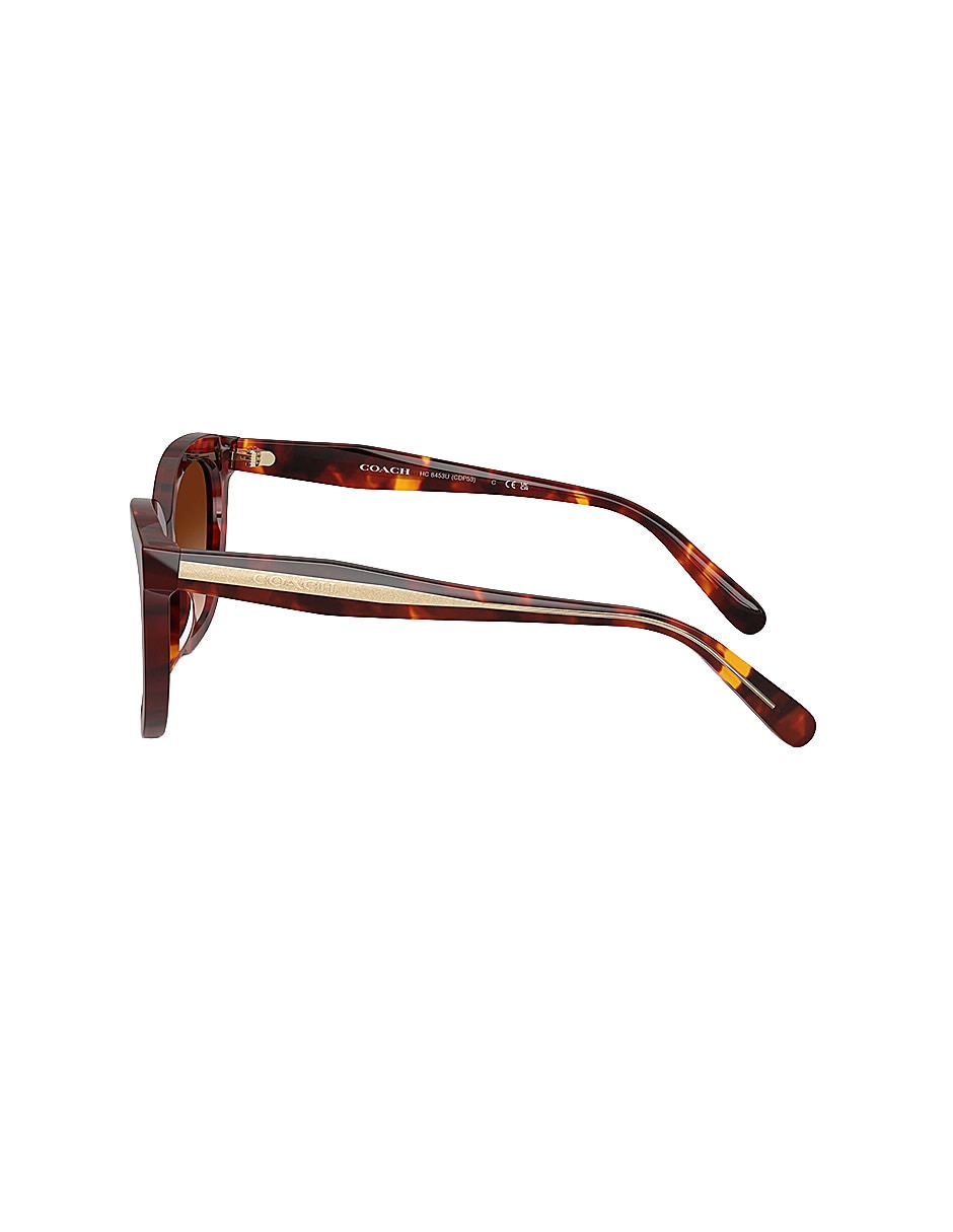 Lentes de sol Premium Fashion 0Hc8453U59387456 para mujer